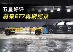 yy易游体育官网-战锤20个军团图鉴