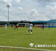 易游yy体育官网-冲刺阶段上海申花队长鼓劲——葡超节点到来，质疑声仍在，球探报告显示潜力